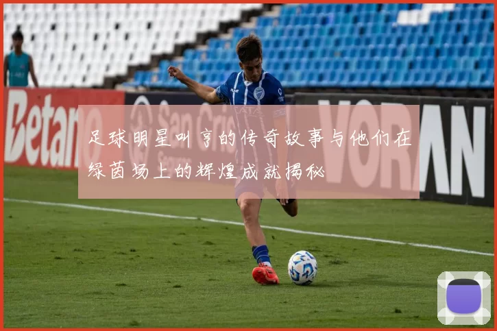 足球明星叫亨的传奇故事与他们在绿茵场上的辉煌成就揭秘