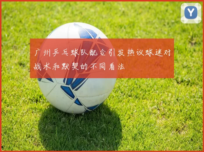 广州乒乓球队配合引发热议球迷对战术和默契的不同看法