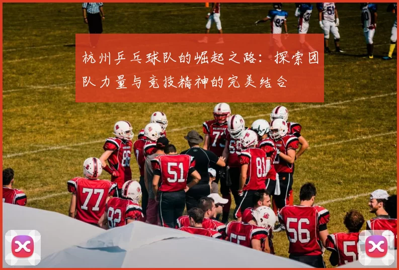 杭州乒乓球队的崛起之路：探索团队力量与竞技精神的完美结合